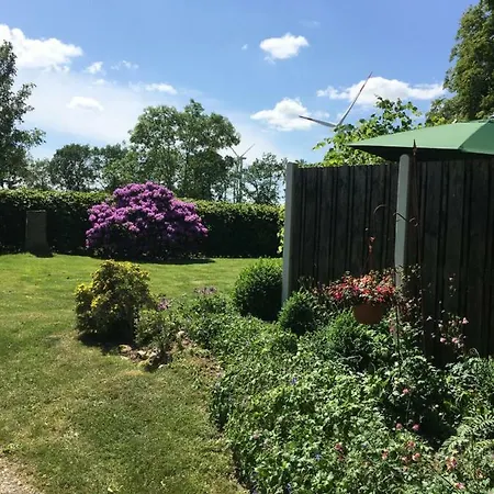 Lindenbluete Eggstedt