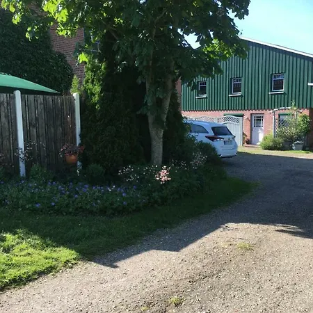 Lindenblüte